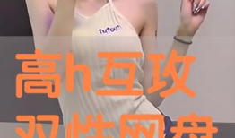 在线h动漫,探索虚拟世界的奇幻之旅