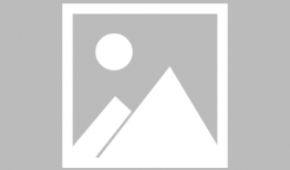 配狗视频,跟随镜头，见证狗狗们的欢乐时光